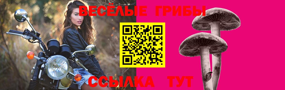 Псилоцибиновые грибы Psilocybine cubensis  купить  цена  Ишим  Вход с VPN 